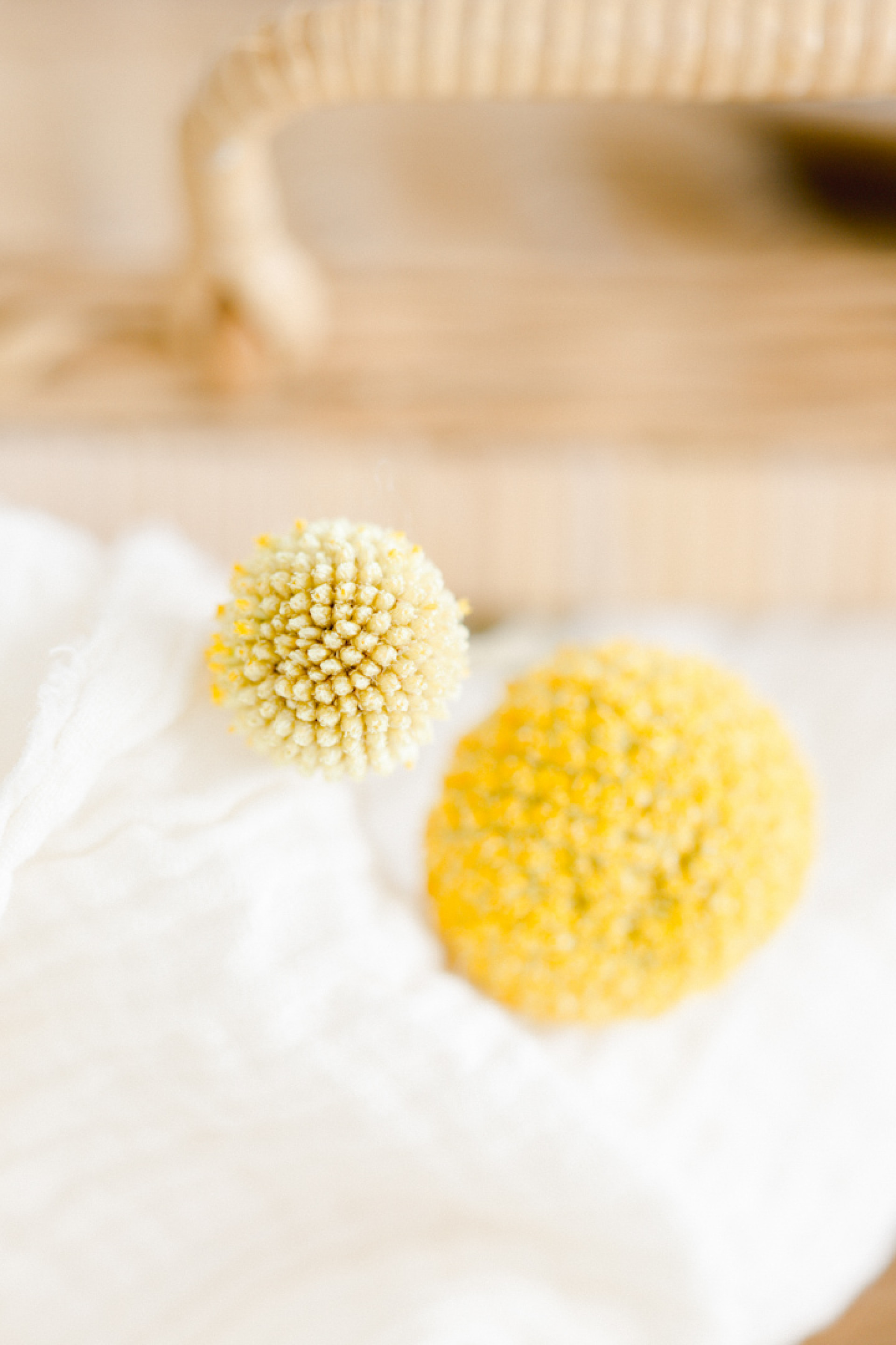 Inspiration Printemps